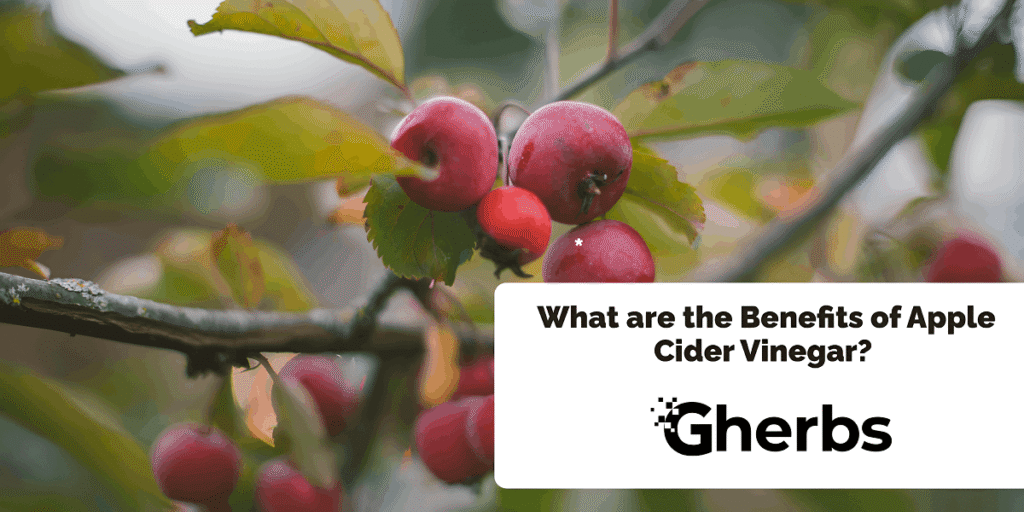 What are the Benefits of Apple Cider Vinegar