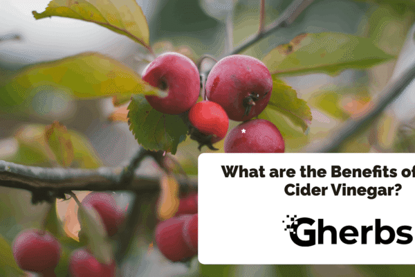 What are the Benefits of Apple Cider Vinegar